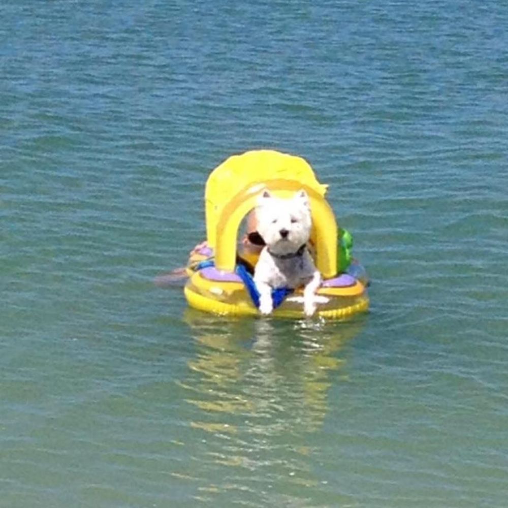 Meet your Posher, Jeanne